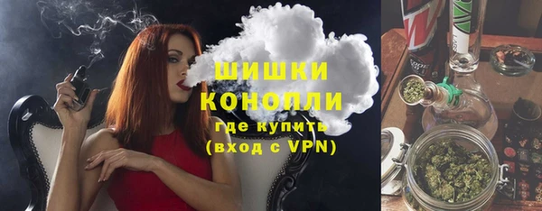 сатива Михайловка