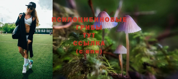 PSILOCYBIN Заволжск