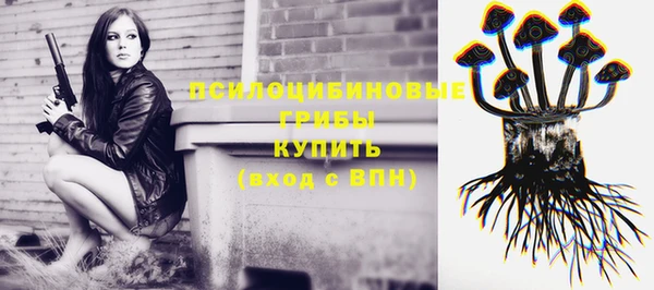 стаф Белоозёрский