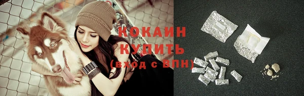 мяу мяу мука Баксан