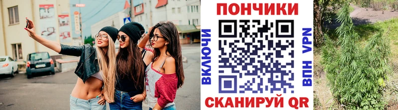 Шишки марихуана AK-47 сайты даркнета наркотические препараты Бобров купить закладку